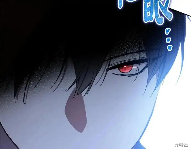 第 219 页