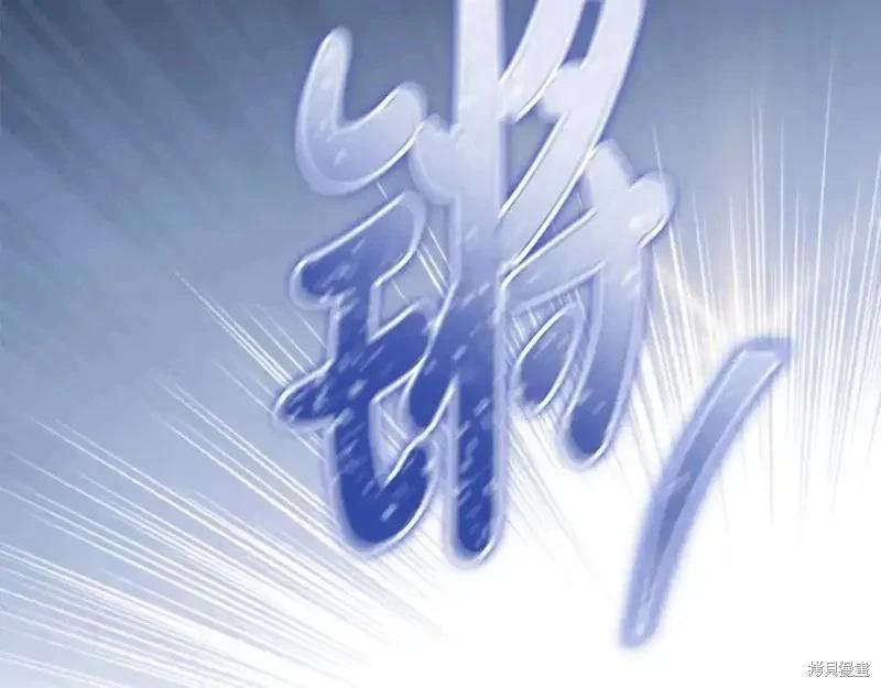 第 221 页