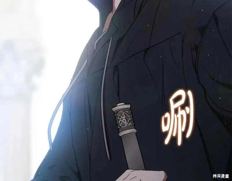 第 231 页