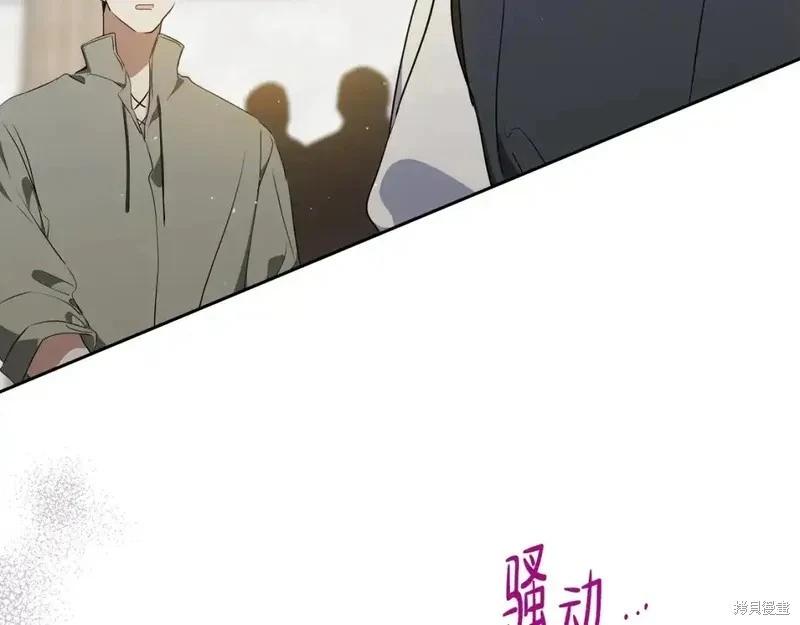 第 236 页