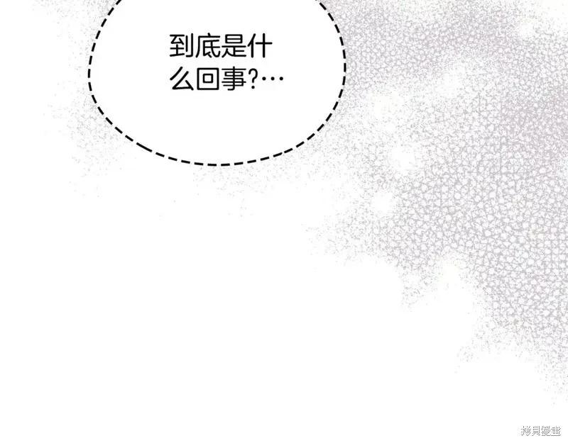 第 238 页