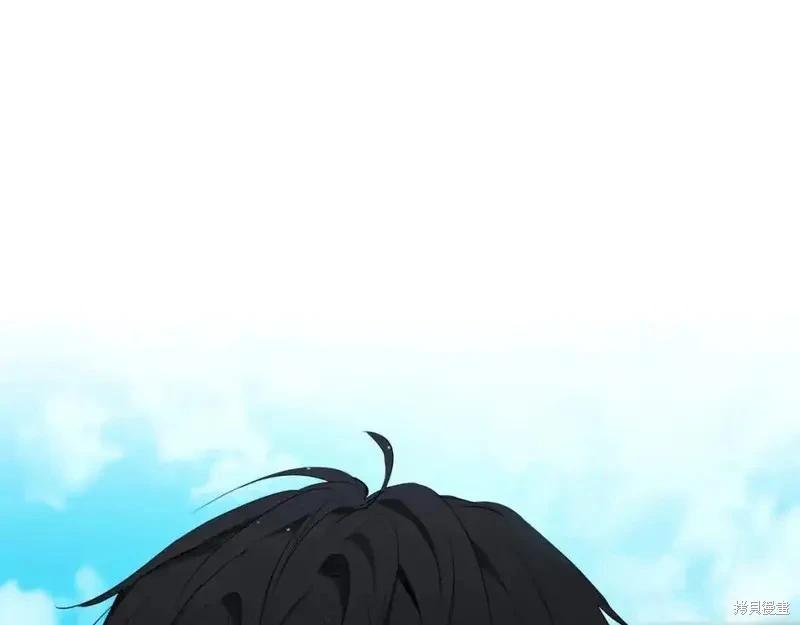 第 242 页