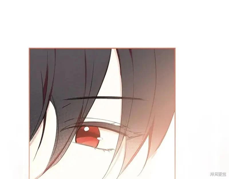 第 266 页