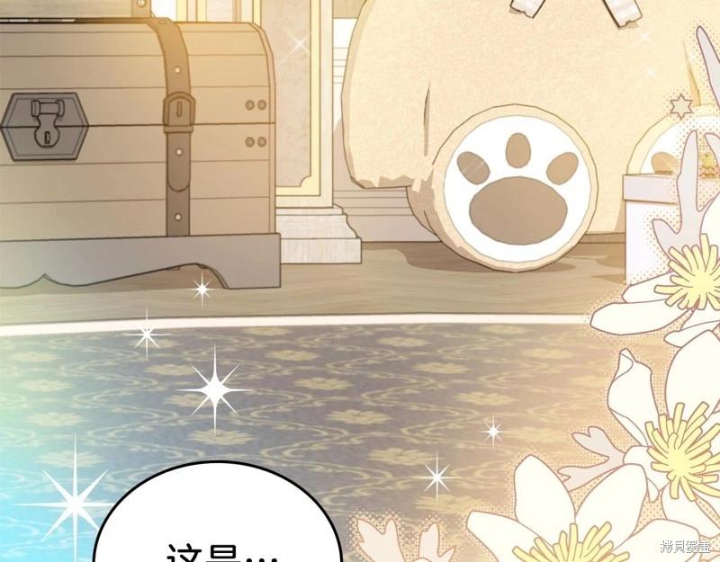 第 178 页