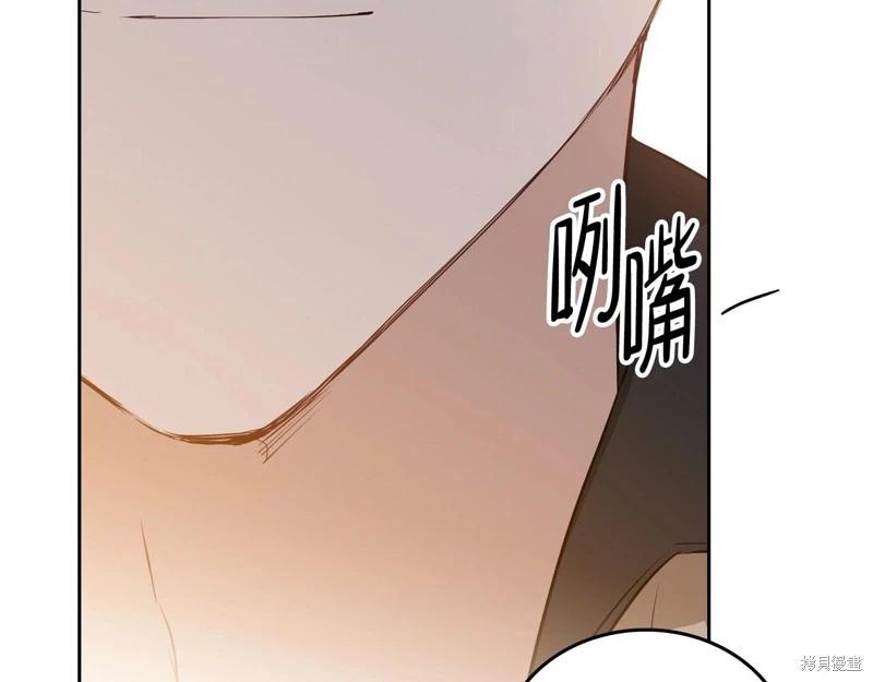 第 202 页