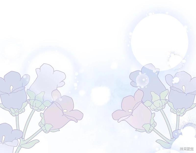 第 204 页