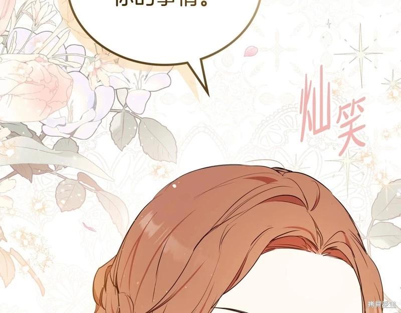 第 242 页