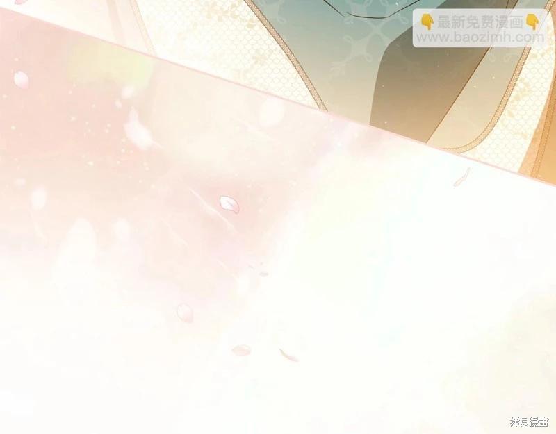 第 246 页