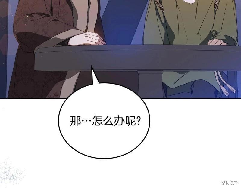 第 204 页