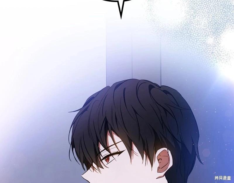 第 206 页