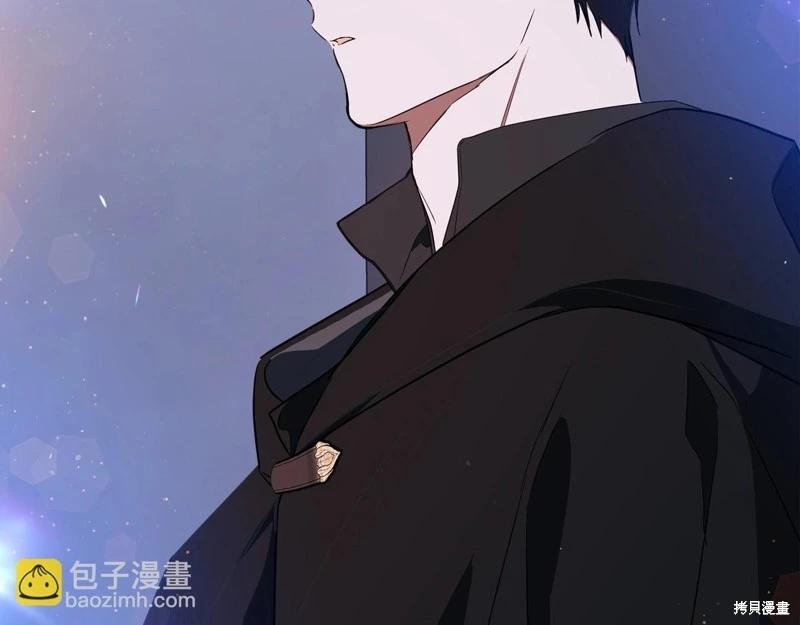 第 207 页