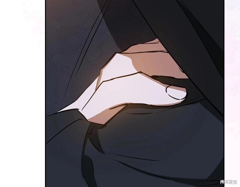 第 230 页