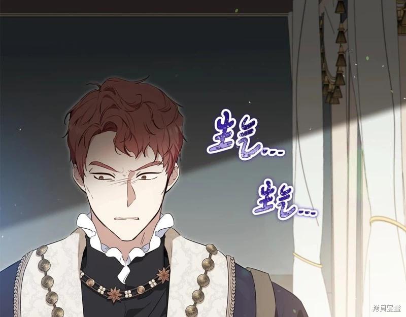 第 116 页