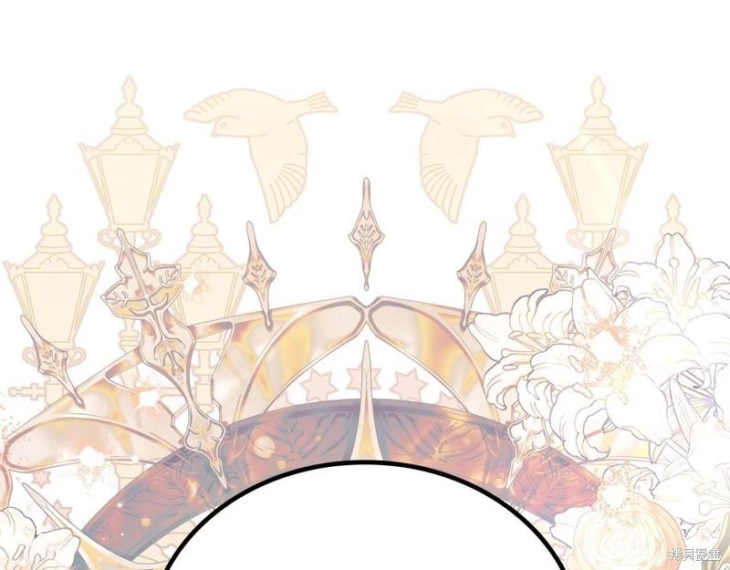 第 237 页