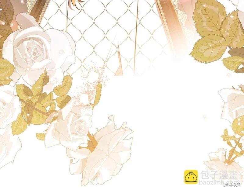 第 241 页