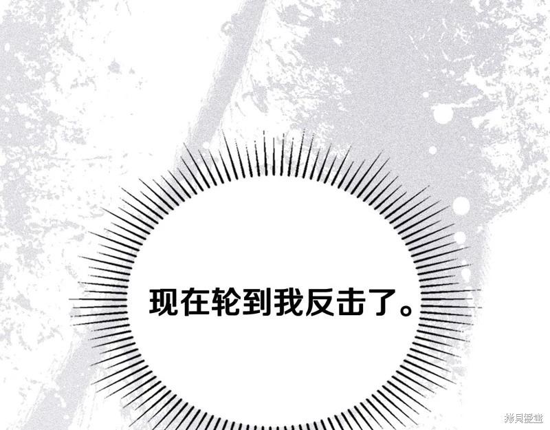 第 209 页
