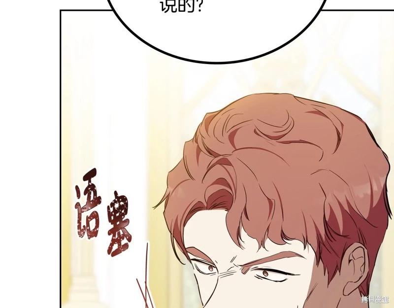 第 217 页