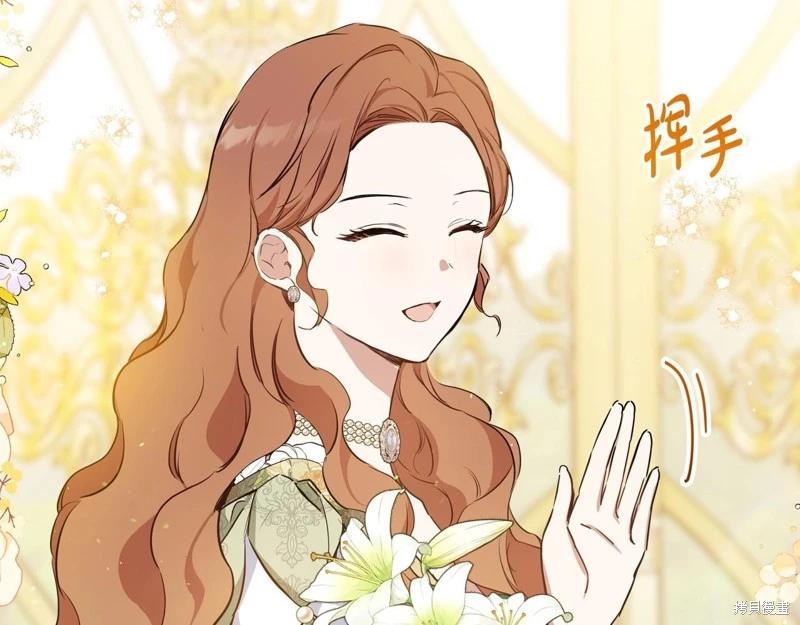 第 234 页