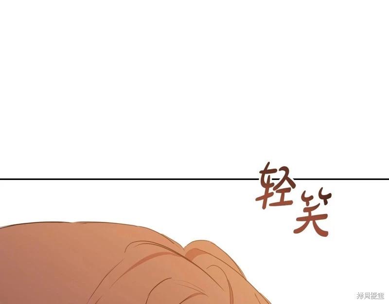 第 238 页