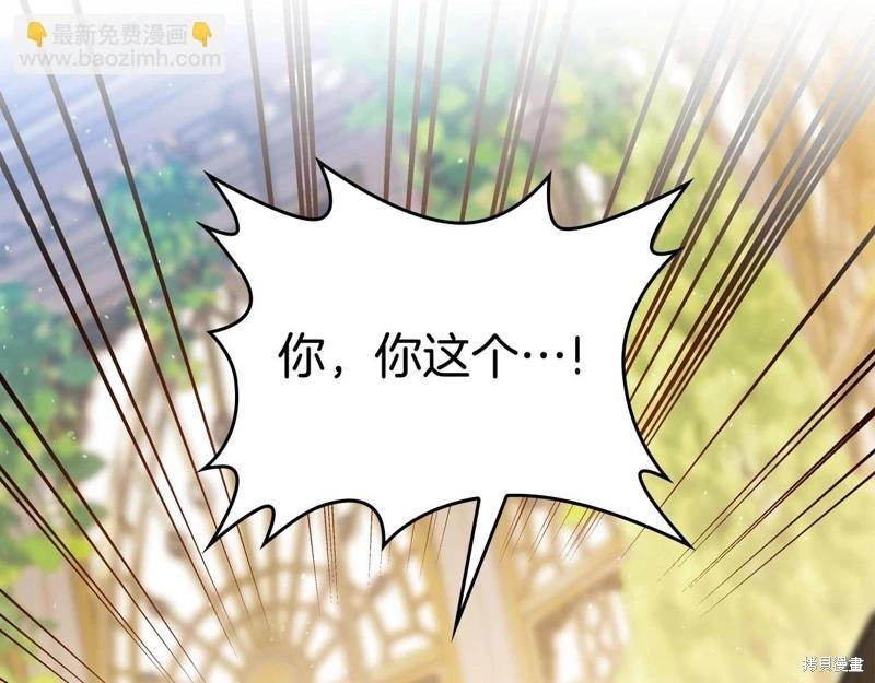 第 243 页