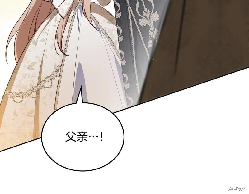 第 245 页
