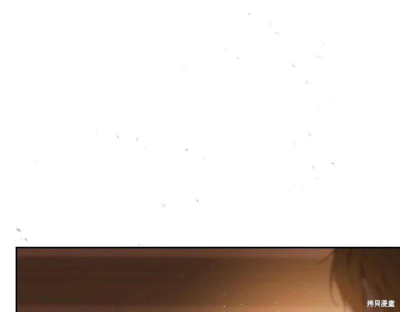 第 223 页