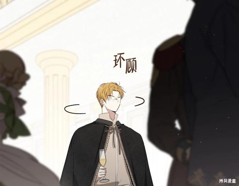 第 205 页