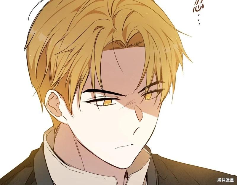 第 213 页