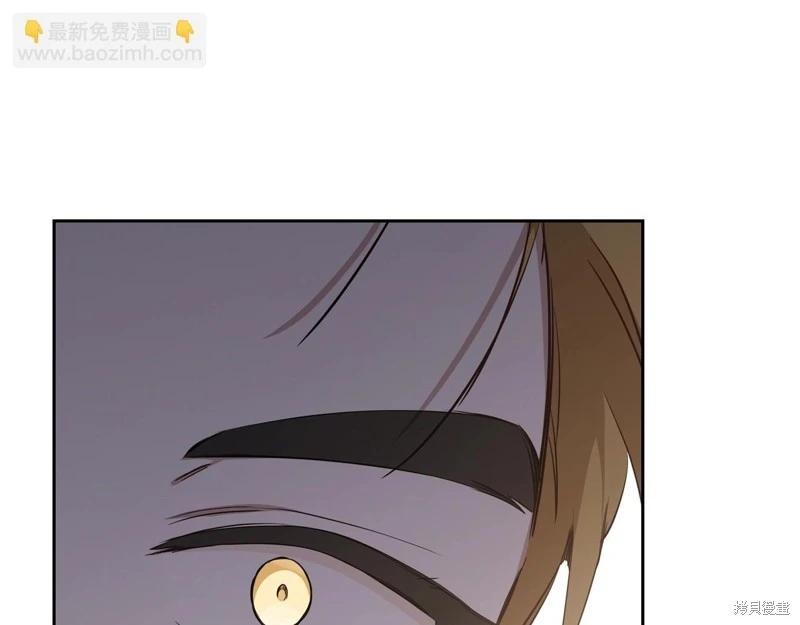 第 223 页