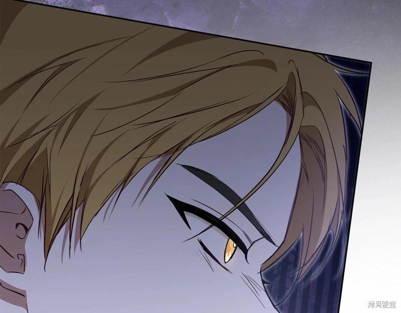 第 234 页