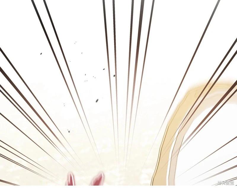 第 241 页