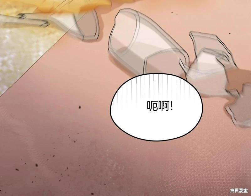 第 243 页