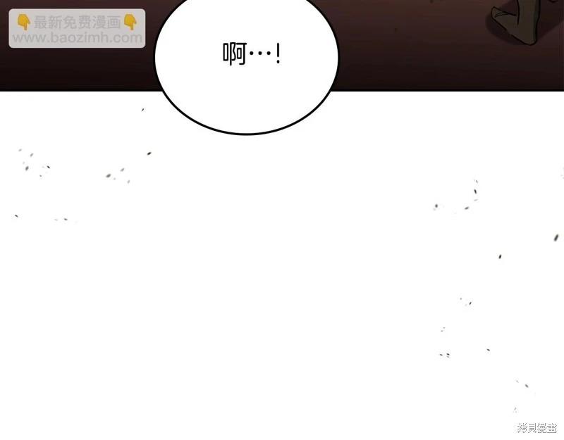 第 247 页