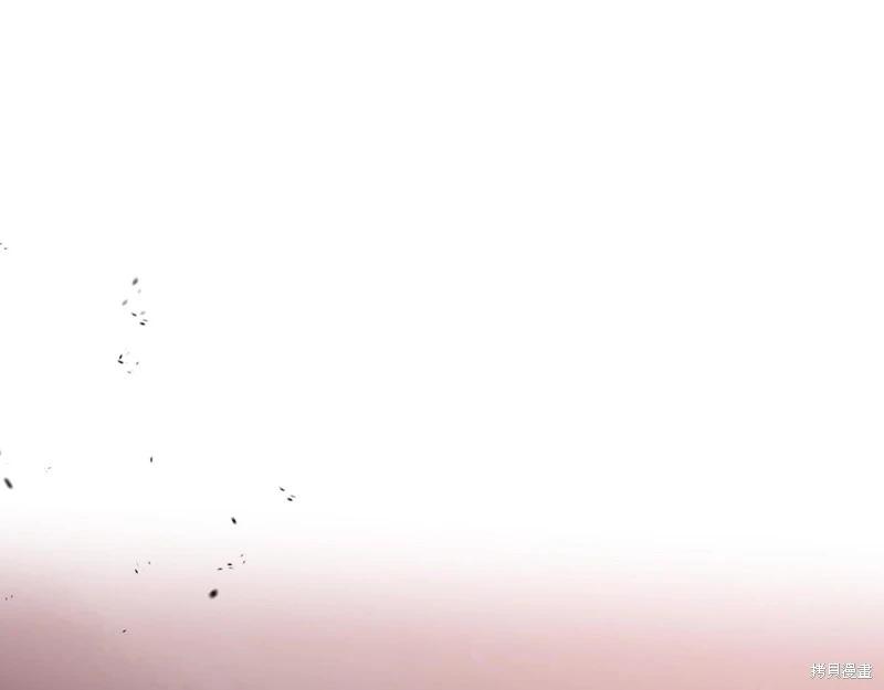 第 251 页