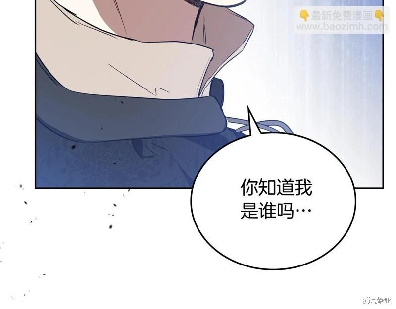 第 258 页