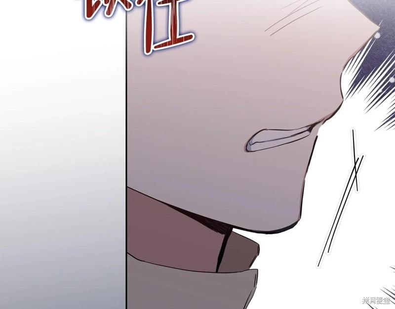 第 260 页