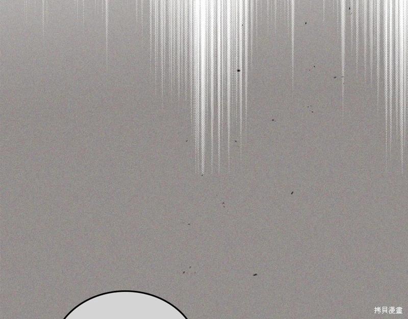 第 195 页