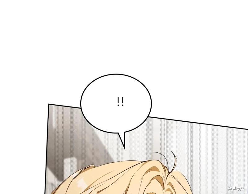 第 238 页