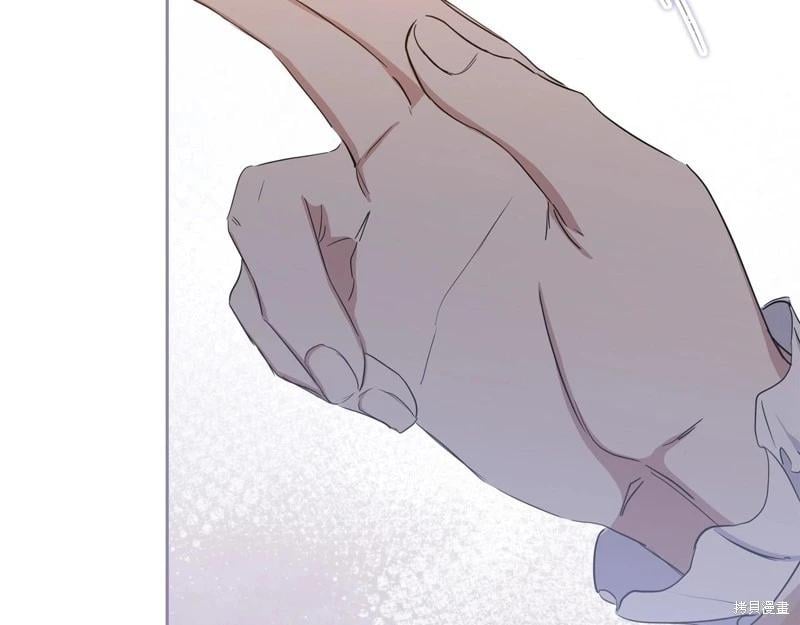 第 146 页