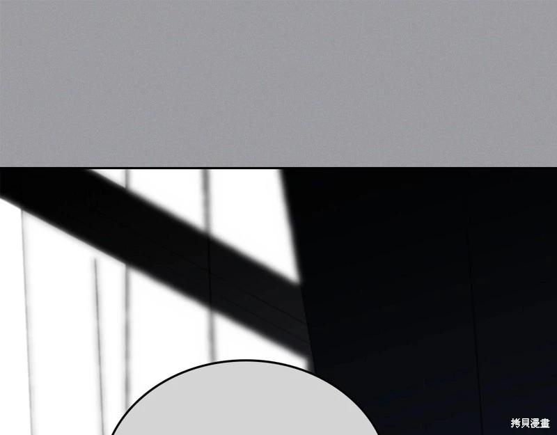 第 205 页