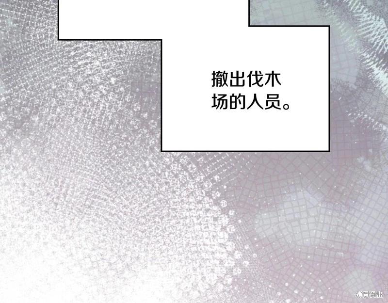第 213 页