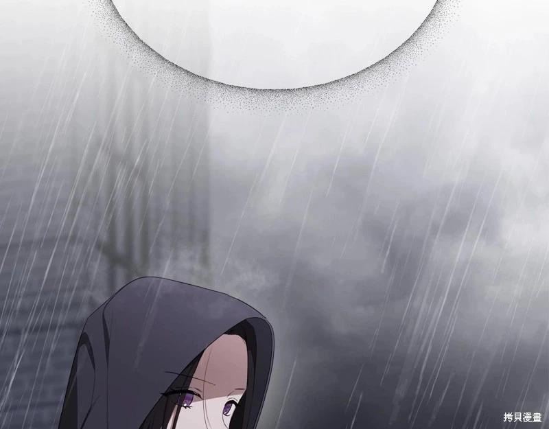 第 221 页