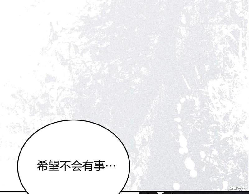 第 223 页