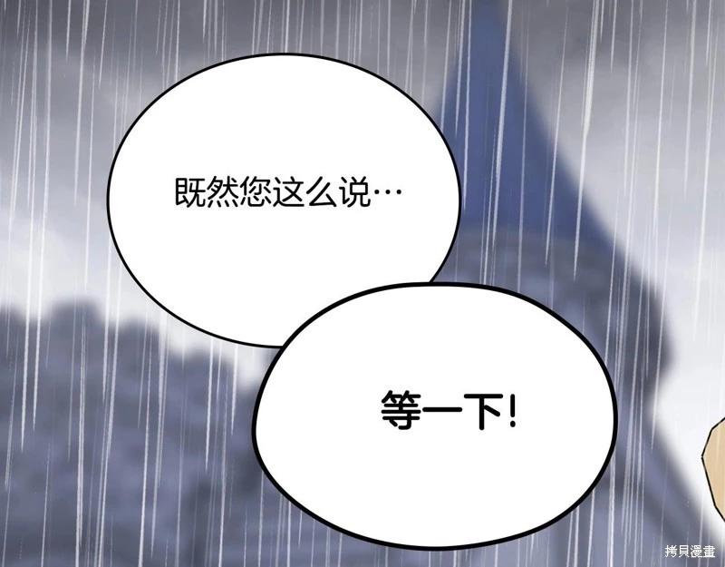 第 251 页