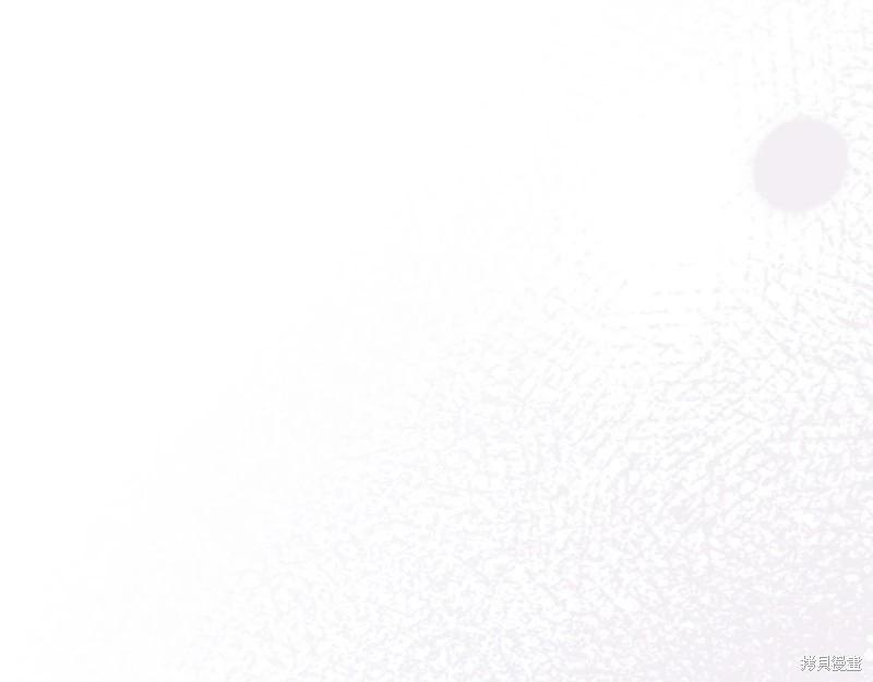 第 106 页