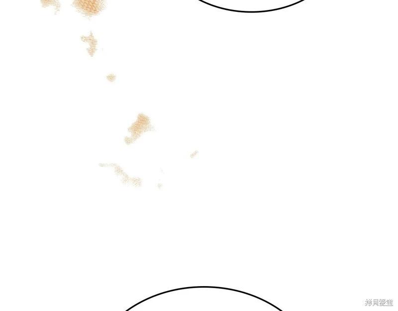 第 223 页