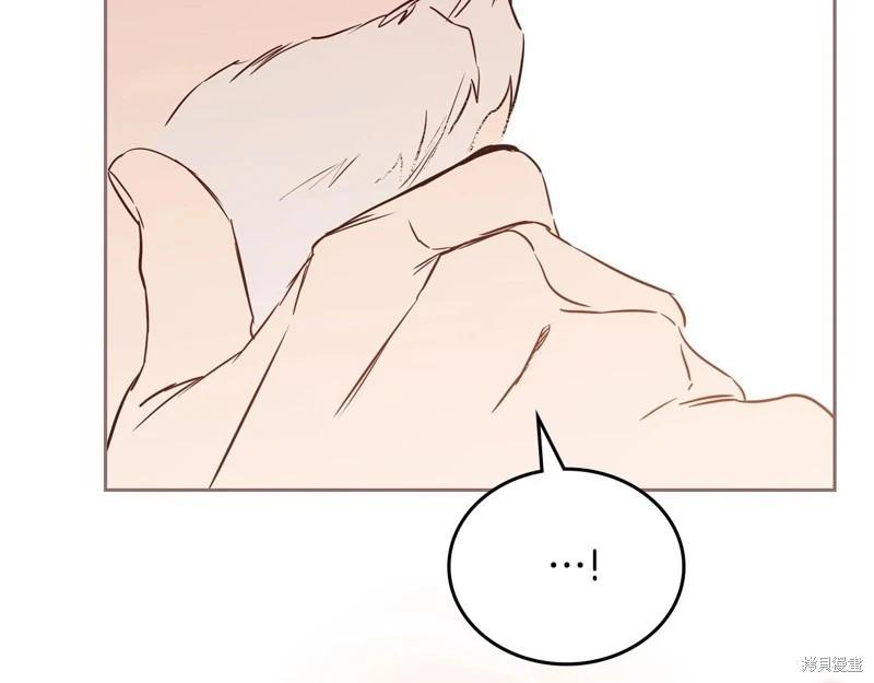 第 233 页