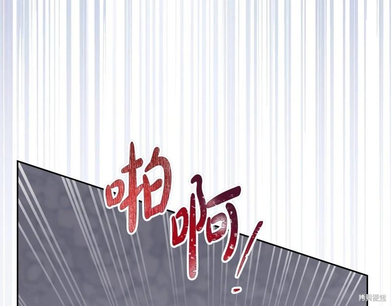 第 206 页