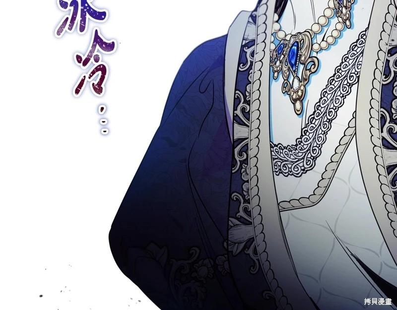 第 217 页