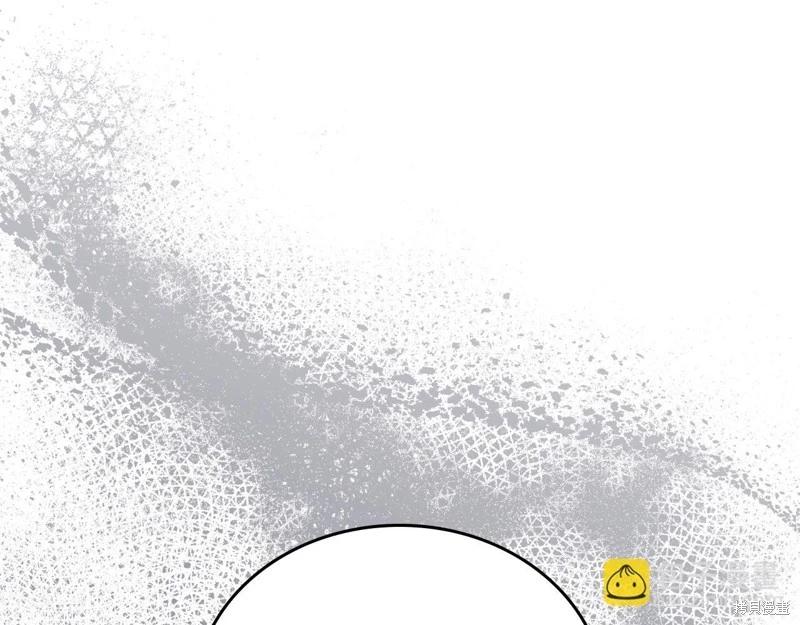 第 235 页